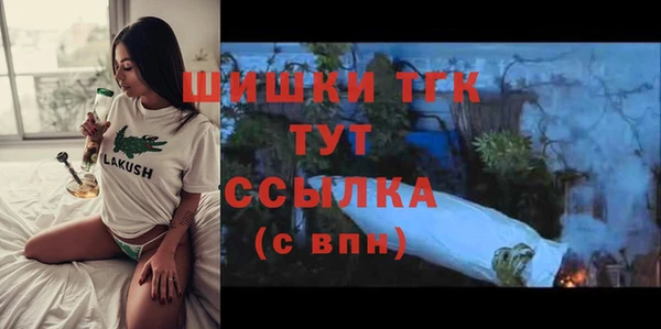амф Инсар
