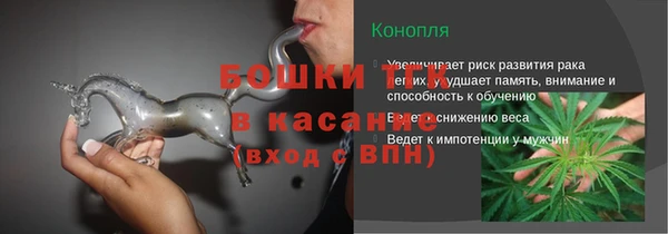 амф Инсар